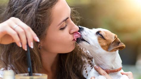 Film con cane e donne che scopano